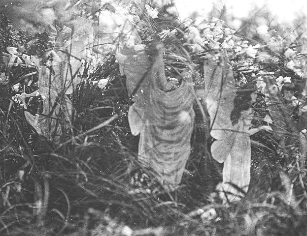 Fifth Cottingley Photo