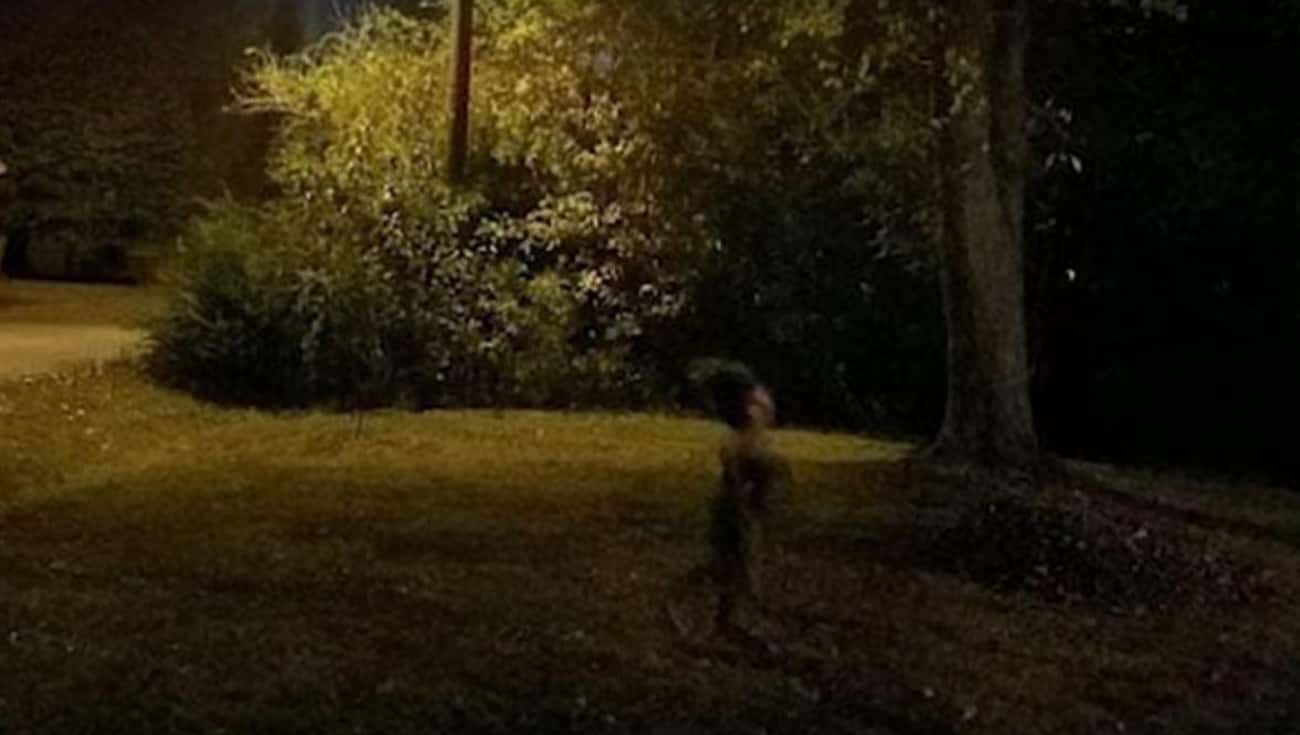 Park Leprechaun